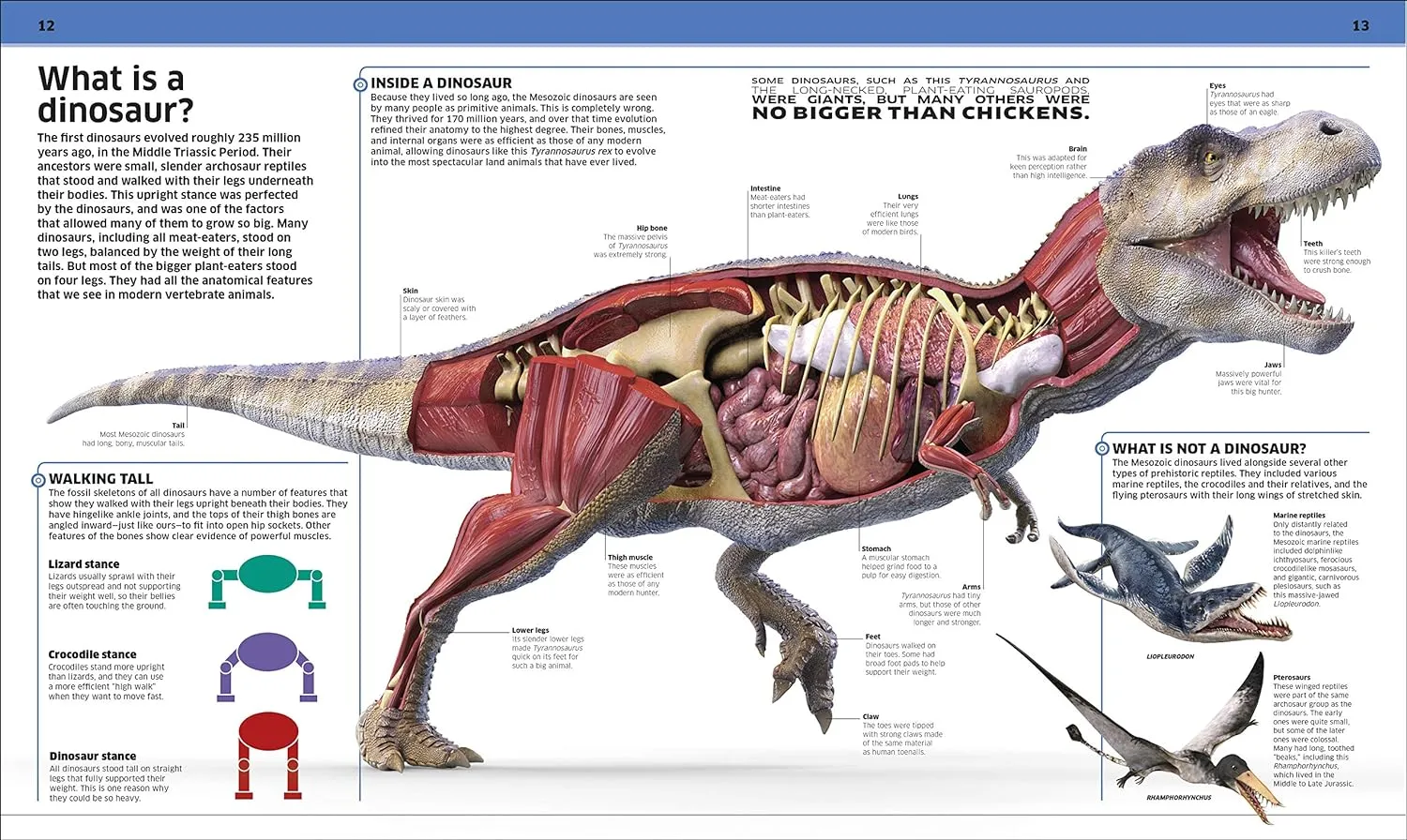 Dinosaur!